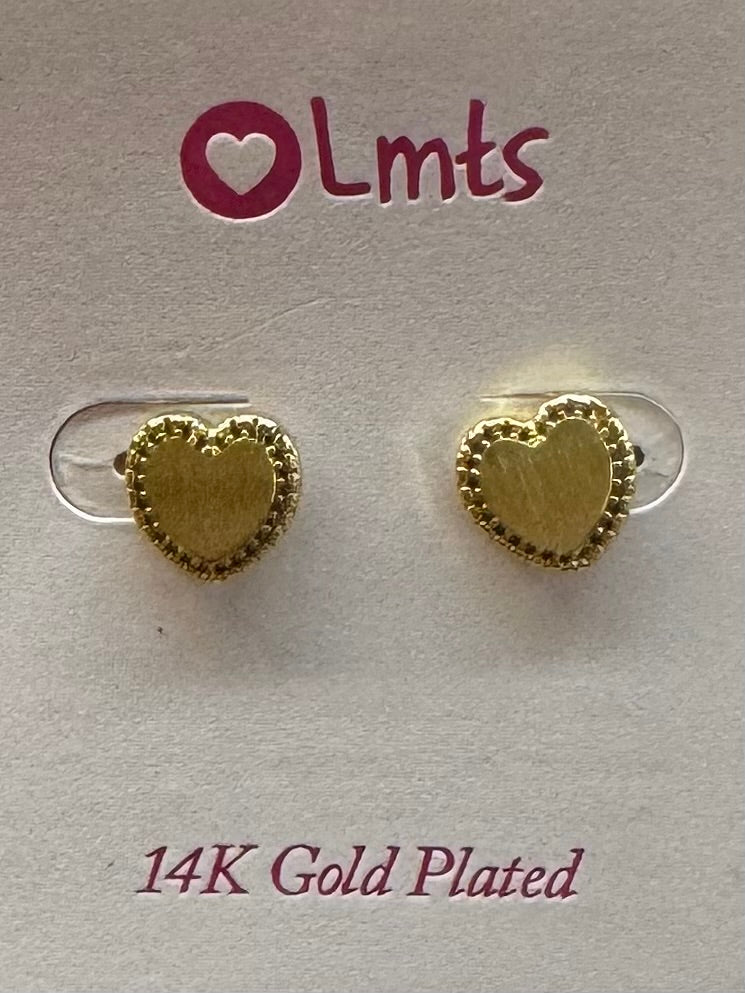 14k Gold Plated Earings