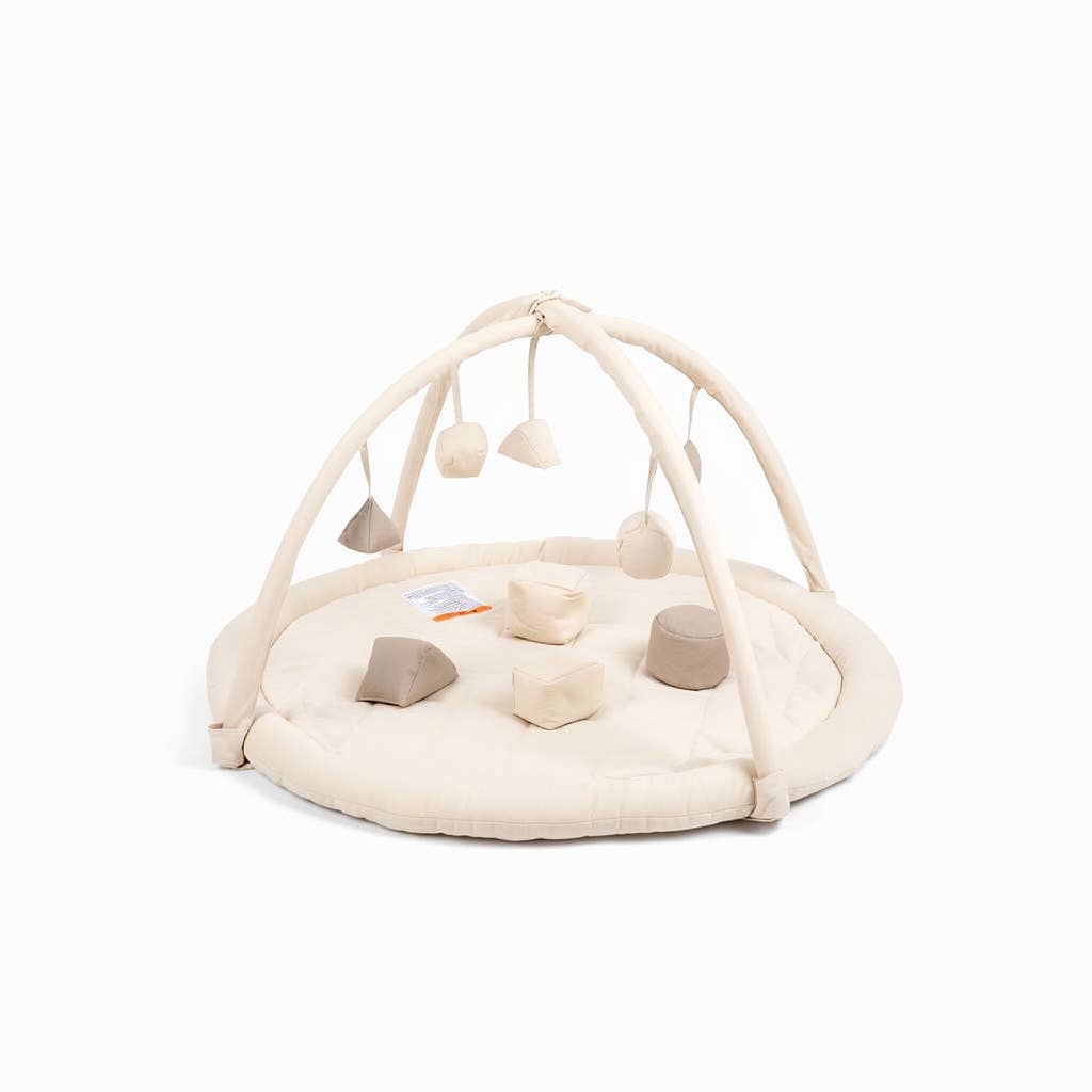 Snuggle Me Play Gym