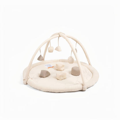 Snuggle Me Play Gym