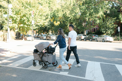 Sprout Stroller Wagon