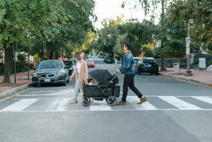 Sprout Stroller Wagon