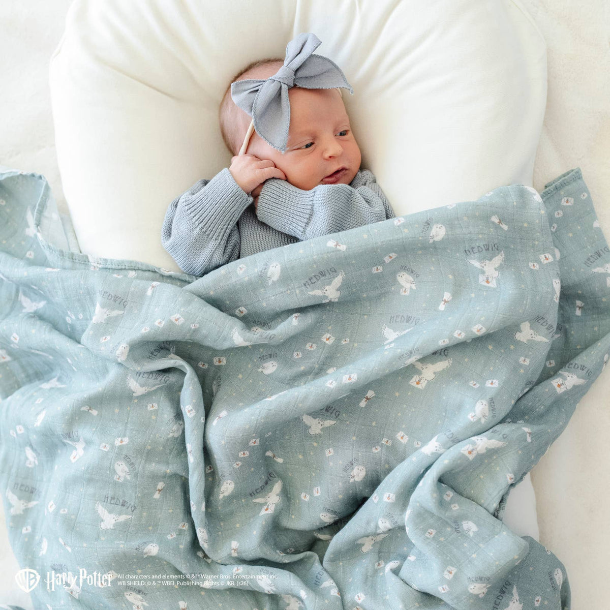 Hedwig / Swaddle