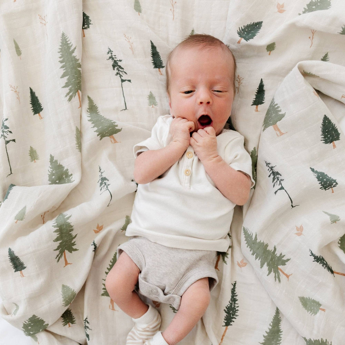Cotton Muslin 2 Pack Swaddles - Pine