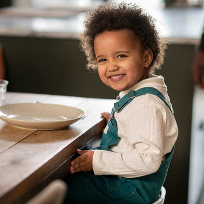 Maxi-Cosi Moa 8-in-1 High Chair