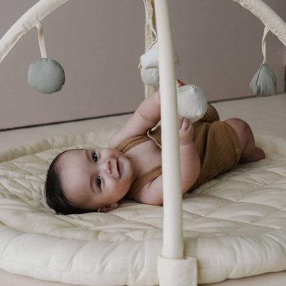 Snuggle Me Play Gym