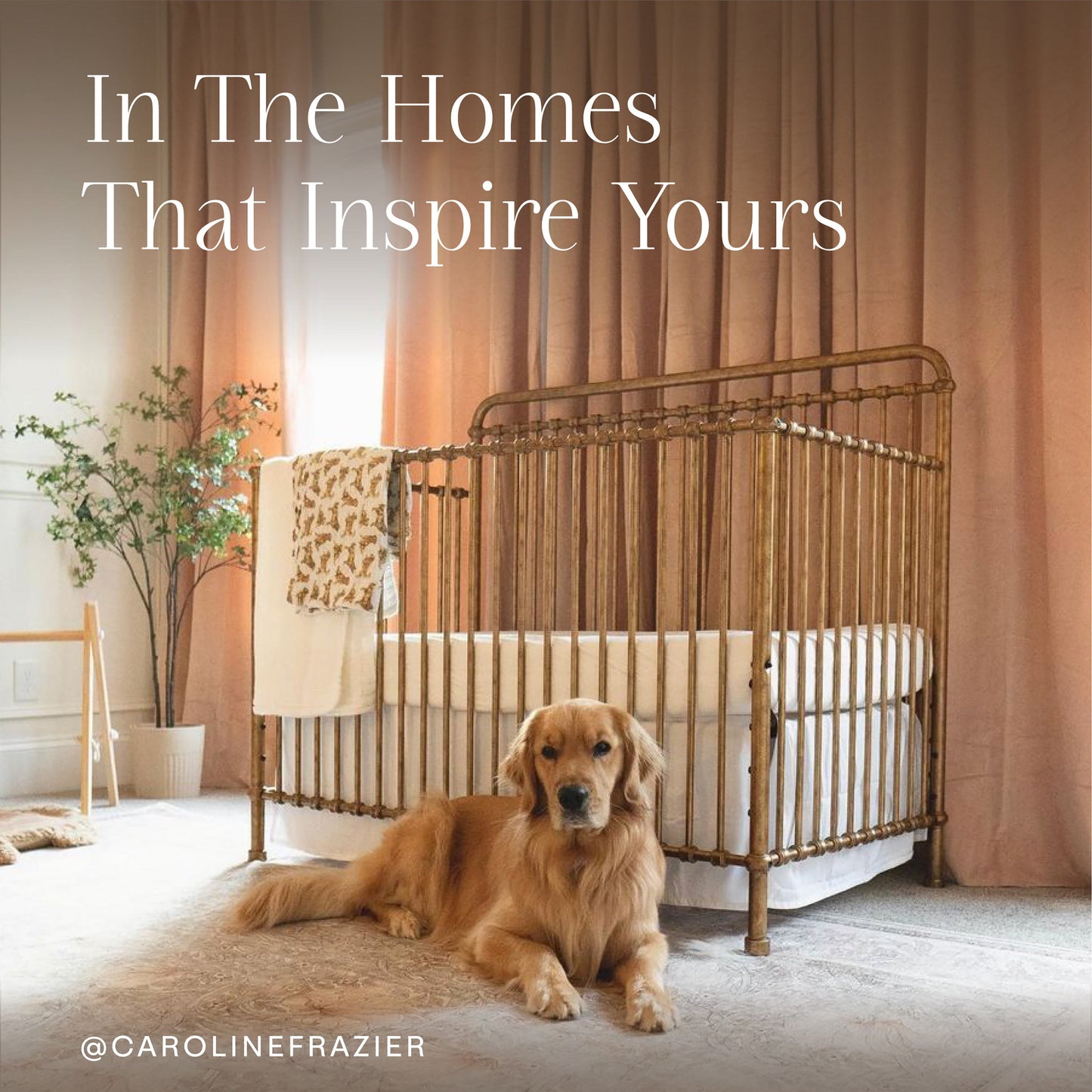 Namesake Winston 4-in-1 Convertible Crib